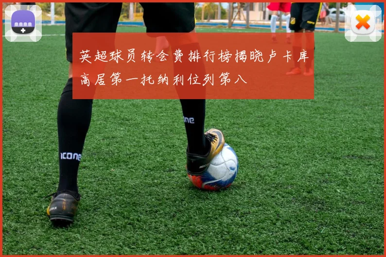 英超球员转会费排行榜揭晓卢卡库高居第一托纳利位列第八